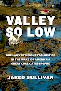 Book Cover: Valley So Low: One Lawyer's Fight for Justice in the Wake of America's Great Coal Catastrophe