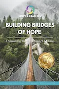 Book Cover: Building Bridges of Hope: Overcoming Trauma in the Family Court System
