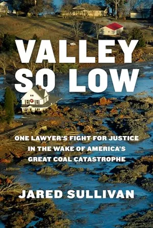 Book Cover: Valley So Low: One Lawyer's Fight for Justice in the Wake of America's Great Coal Catastrophe